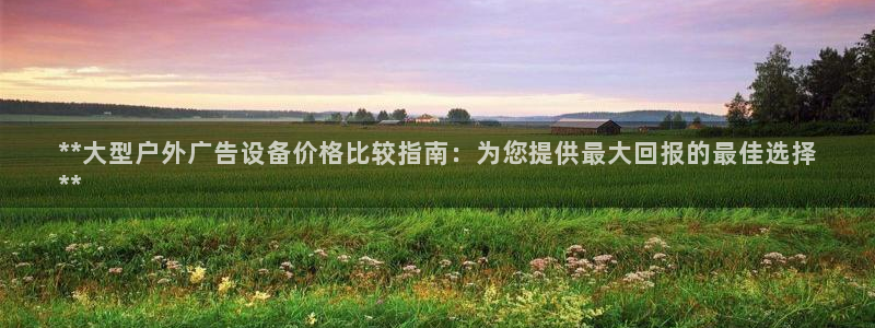杏宇平台怎么样：**大型户外广告设备价格比较指南：为您提供最大回报的最佳选择
**