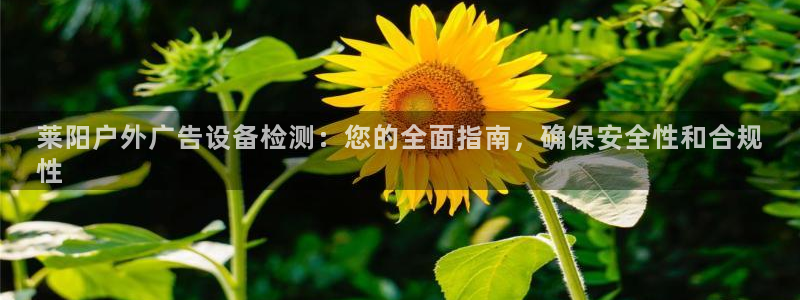 杏宇官方平台官网：莱阳户外广告设备检测：您的全面指南，确保安全性和合规
性