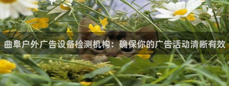 杏宇平台总代理电话：曲阜户外广告设备检测机构：确保你的广告活动清晰有效
