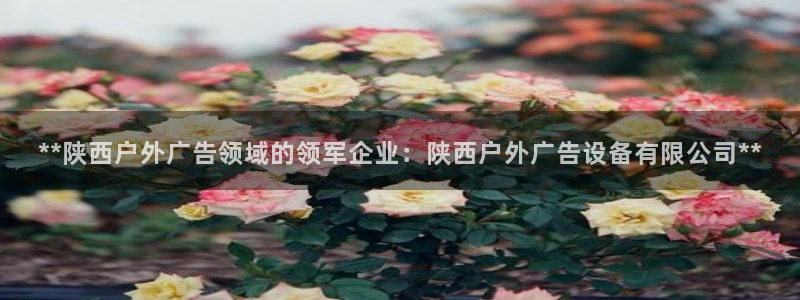 杏宇平台代理怎么样啊：**陕西户外广告领域的领军企业：陕西户外广告设备有限公司**
