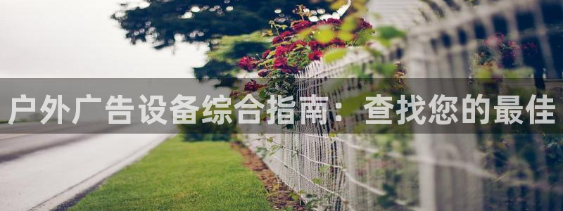 杏宇平台代理多少钱一个：户外广告设备综合指南：查找您的最佳