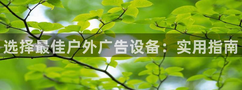 杏宇平台代理怎么样啊：选择最佳户外广告设备：实用指南
