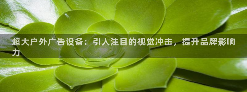 杏宇平台代理：超大户外广告设备：引人注目的视觉冲击，提升品牌影响
力