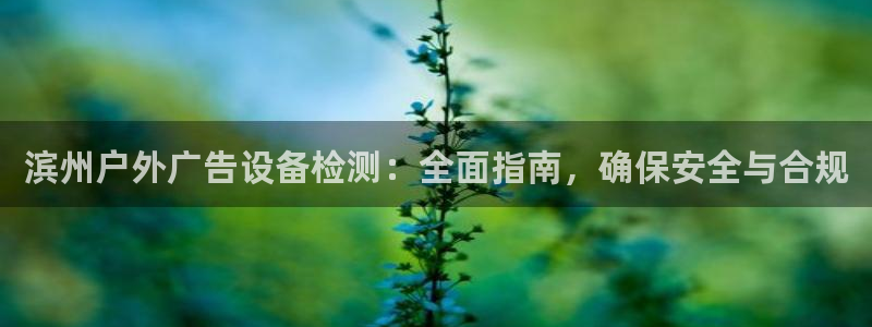 杏宇平台代理