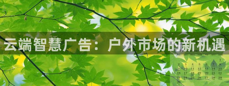 杏宇平台登陆
