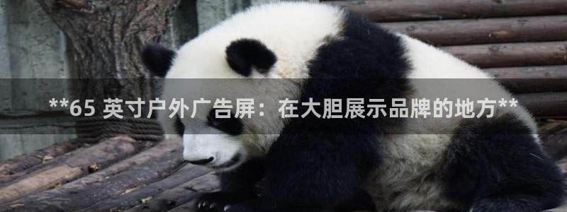 杏宇平台总代理电话：**65 英寸户外广告屏：在大胆展示品牌的地方**