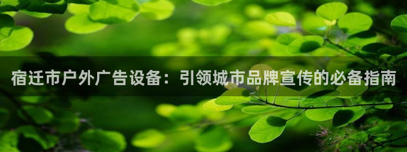 杏宇平台总代理