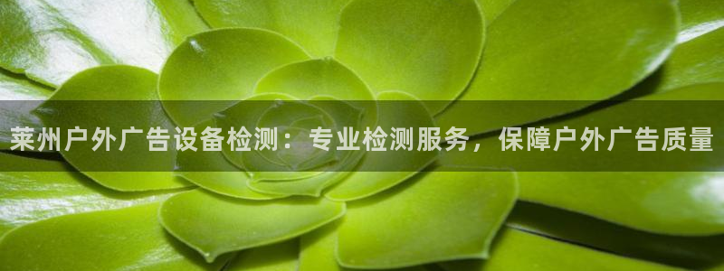 杏宇平台好吗：莱州户外广告设备检测：专业检测服务，保障户外广告质量