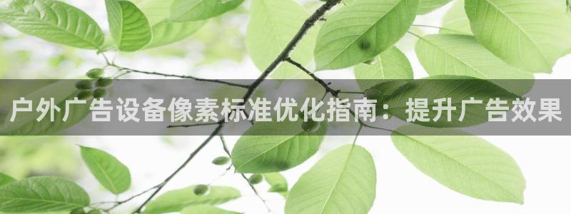 杏宇平台官网注册：户外广告设备像素标准优化指南：提升广告效果