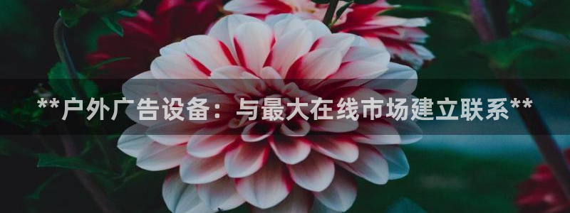 杏宇官方平台官网入口：**户外广告设备：与最大在线市场建立联系**