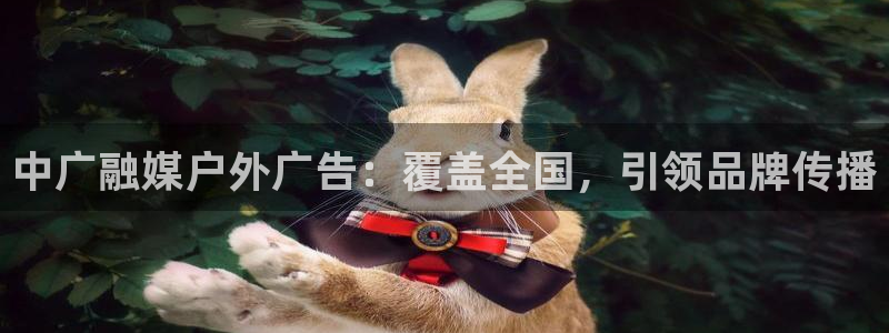 杏宇平台招商电话号码