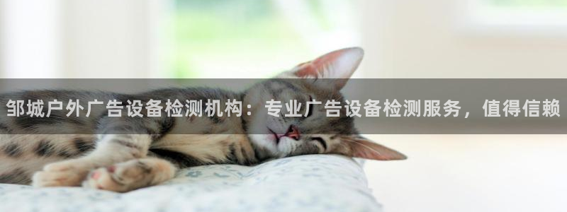 杏宇平台总代理是谁：邹城户外广告设备检测机构：专业广告设备检测服务，值得信赖
