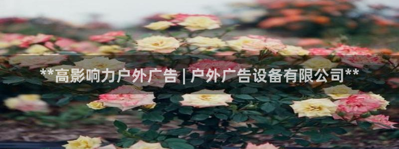 杏宇平台代理多少钱一次：**高影响力户外广告 | 户外广告设备有限公司**