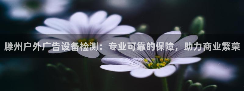 杏宇官方平台官网下载：滕州户外广告设备检测：专业可靠的保障，助力商业繁荣