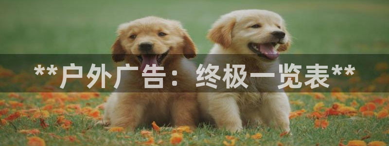 杏宇平台怎么样知乎：**户外广告：终极一览表**
