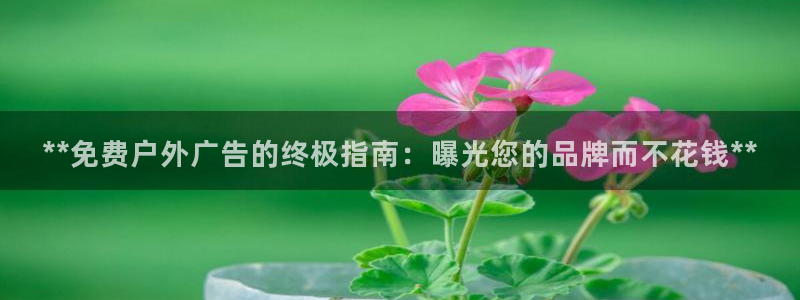 杏宇平台好吗：**免费户外广告的终极指南：曝光您的品牌而不花钱**