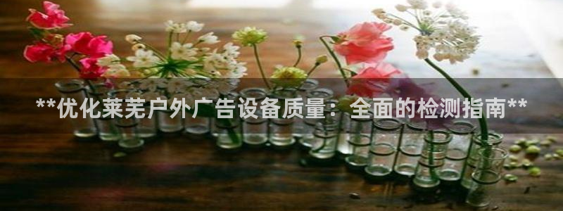 杏宇平台登录步骤是什么：**优化莱芜户外广告设备质量：全面的检测指南**