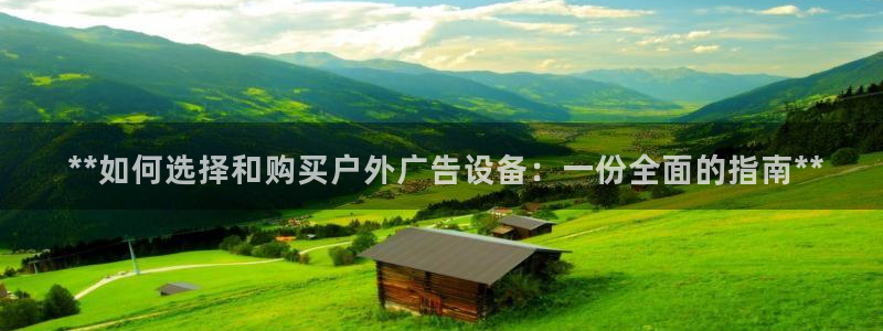 杏宇平台代理怎么样： **如何选择和购买