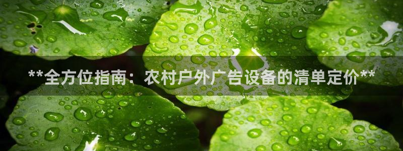 杏宇平台代理怎么样可靠吗：**全方位指南：农村户外广告设备的清单定价**