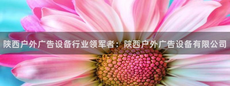 杏宇平台登陆：陕西户外广告设备行业领军者