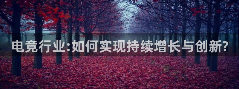 乐竞电竞锁定金额：电竞行业:如何实现持续增长与创新?