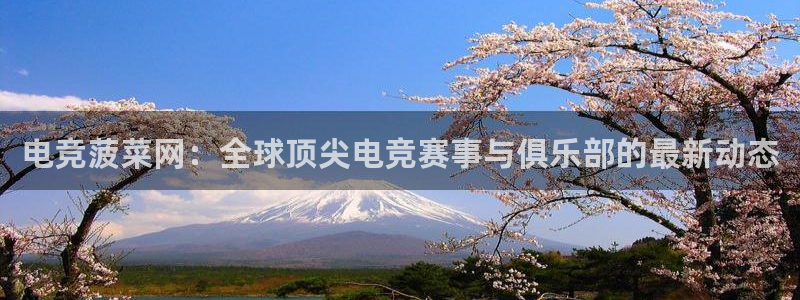 乐竞电竞实训中心收费标准