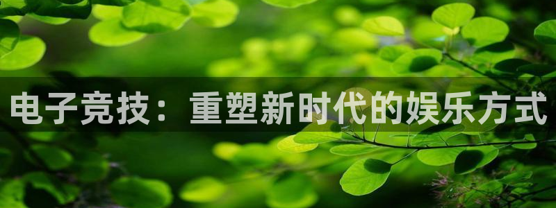 乐竞电竞