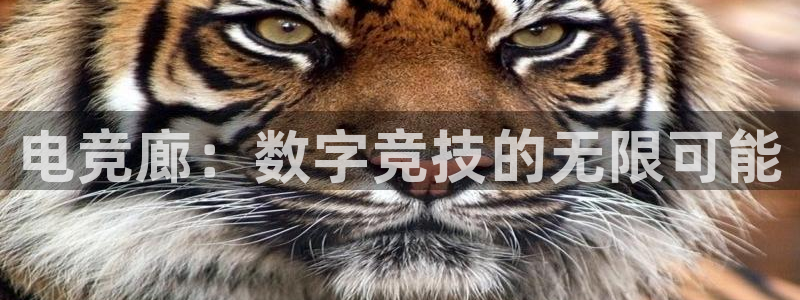 成都乐竞电竞青训基地