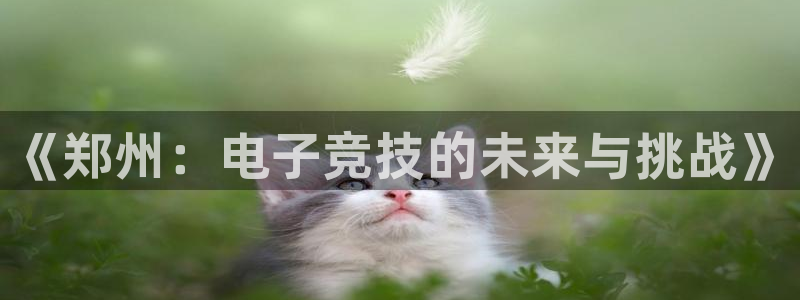 乐竞电竞实训中心收费标准