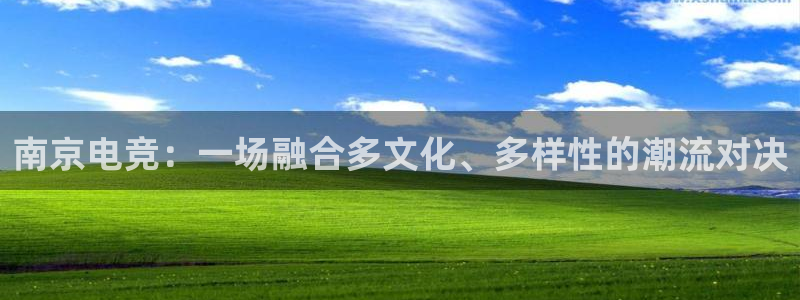 乐竞电竞app：南京电竞：一场融合多文化、多样性的潮流对决
