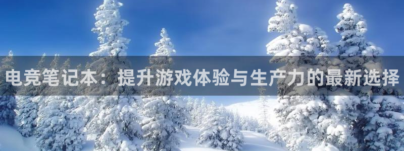 乐竞电竞官网首页：电竞笔记本：提升游戏体验与生产力的最新选择