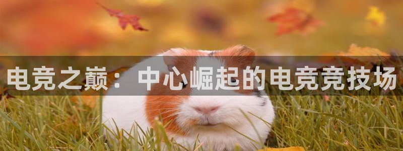 乐竞电竞app：电竞之巅：中心崛起的电竞竞技场