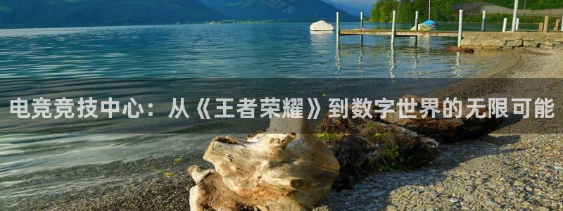乐竞电竞官网首页：电竞竞技中心：从《王者荣耀》到数字世界的无限可能