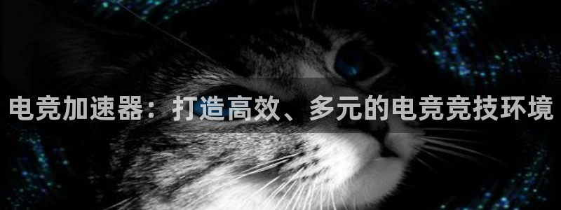 乐竞电竞青训基地怎么样：电竞加速器：打造高效、多元的电竞竞技环境