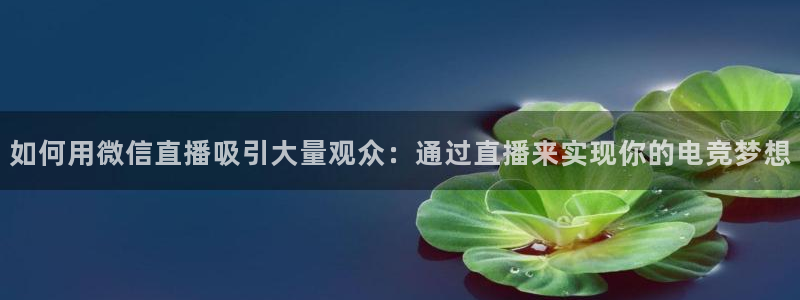 乐竞电竞锁定金额：如何用微信直播吸引大量观众：通过直播来实现你的电竞梦想
