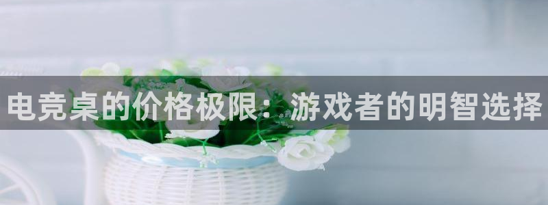 成都乐竞电竞青训基地：电竞桌的价格极限：游戏者的明智选择
