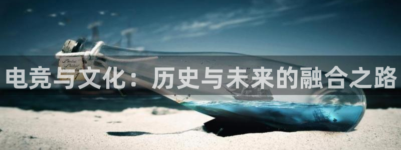 乐竞电竞app：电竞与文化：历史与未来的融合之路