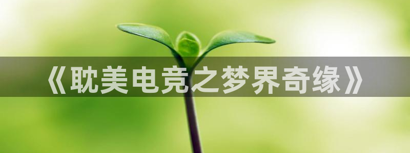 成都乐竞电竞：《耽美电竞之梦界奇缘》