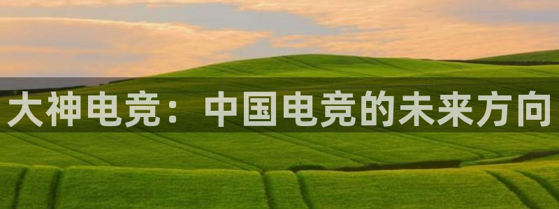乐竞电竞平台：大神电竞：中国电竞的未来方向