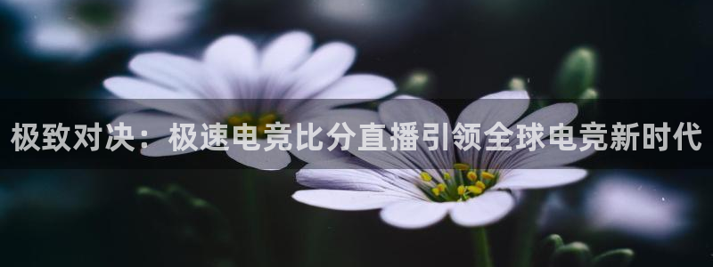 乐竞电竞实训中心收费标准：极致对决：极速电竞比分直播引领全球电竞新时代