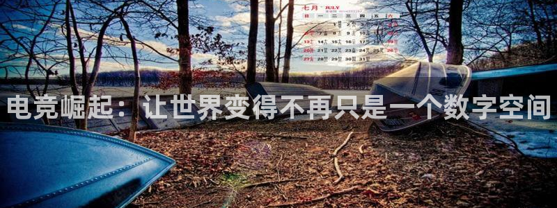 成都乐竞电竞：电竞崛起：让世界变得不再只是一个数字空间