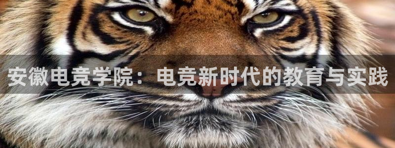 乐竞电竞：安徽电竞学院：电竞新时代的教育与实践