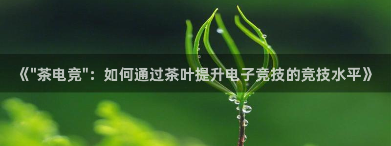 乐竞电竞官网入口：《\