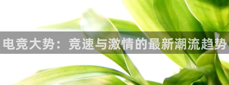 乐竞电竞青训基地怎么样：电竞大势：竞速与激情的最新潮流趋势