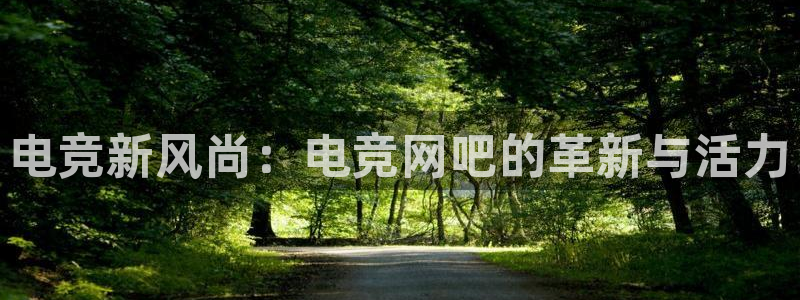 乐竞电竞青训基地怎么样：电竞新风尚：电竞网吧的革新与活力