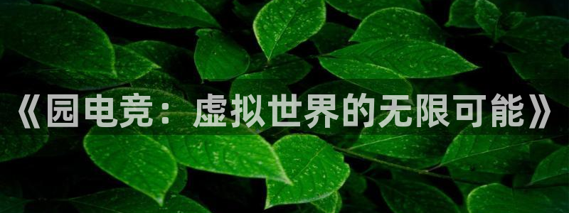 乐竞电竞锁定金额：《园电竞：虚拟世界的无限可能》