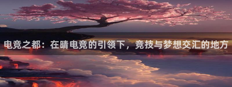 乐竞电竞：电竞之都：在晴电竞的引领下，竞技与梦想交汇的地方