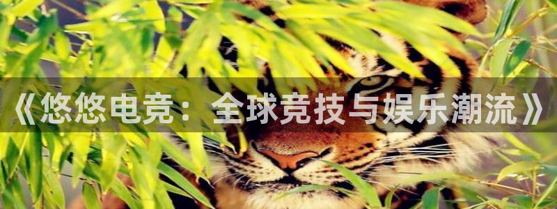 乐竞电竞青训基地怎么样：《悠悠电竞：全球竞技与娱乐潮流》
