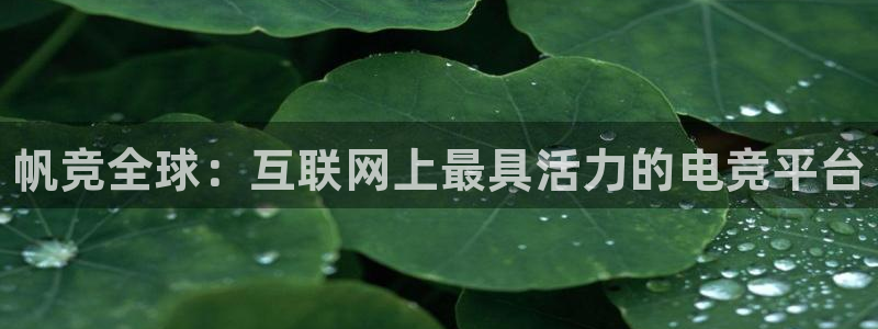 乐竞电竞平台：帆竞全球：互联网上最具活力的电竞平台