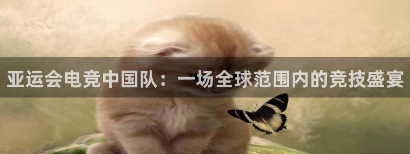乐竞电竞官网首页：亚运会电竞中国队：一场全球范围内的竞技盛宴